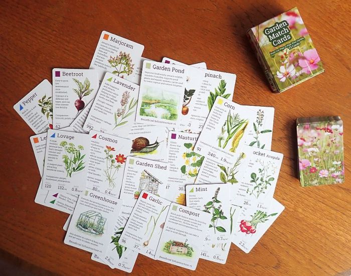 Garden Match Game Cards