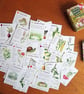 Garden Match Game Cards - Image 1