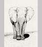 Elephant Small Original Graphite Pencil Drawing - Image 3