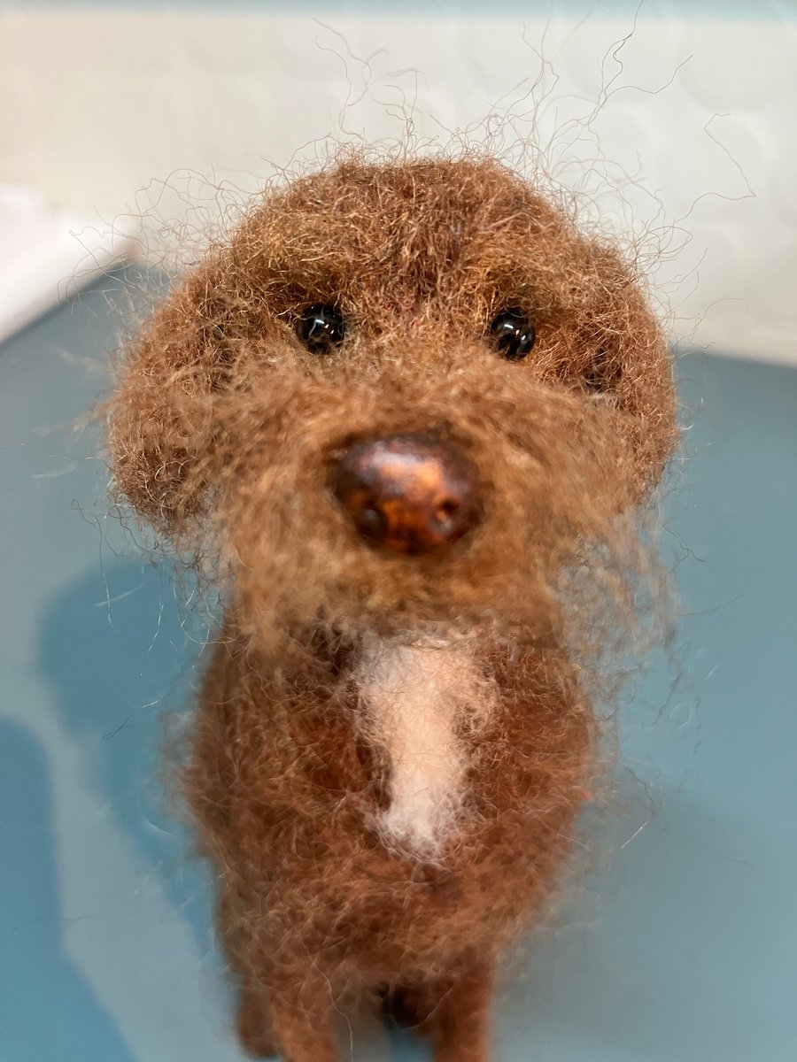 Scampi the Spaniel handmade dog model 