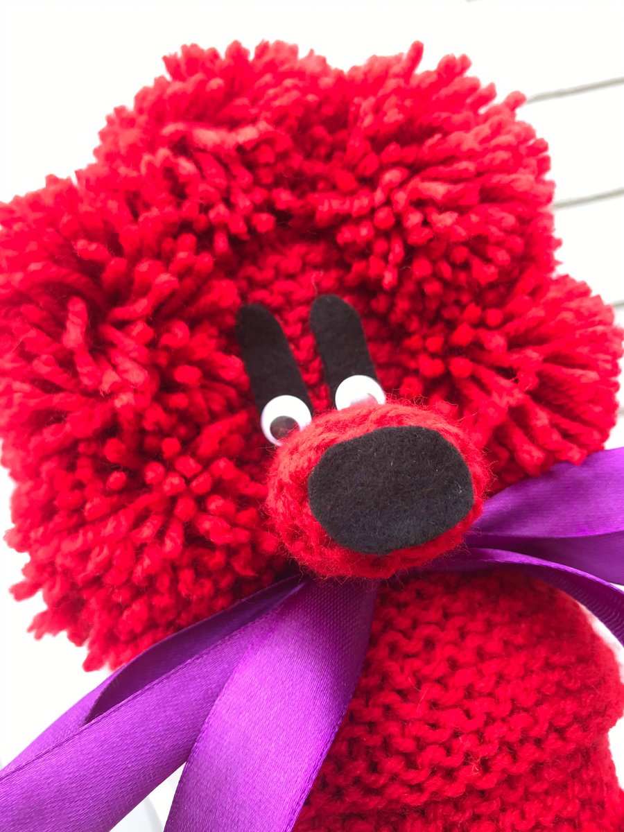 Tom - a Gin Poodle with a satin ribbon bow collar