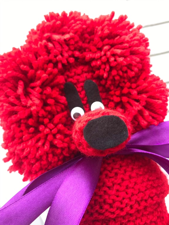 Tom - a Gin Poodle with a satin ribbon bow collar