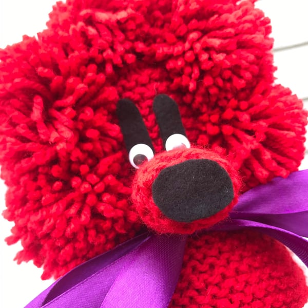 Tom - a Gin Poodle with a satin ribbon bow collar