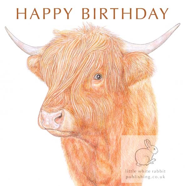 Highland Cow - Birthday Card