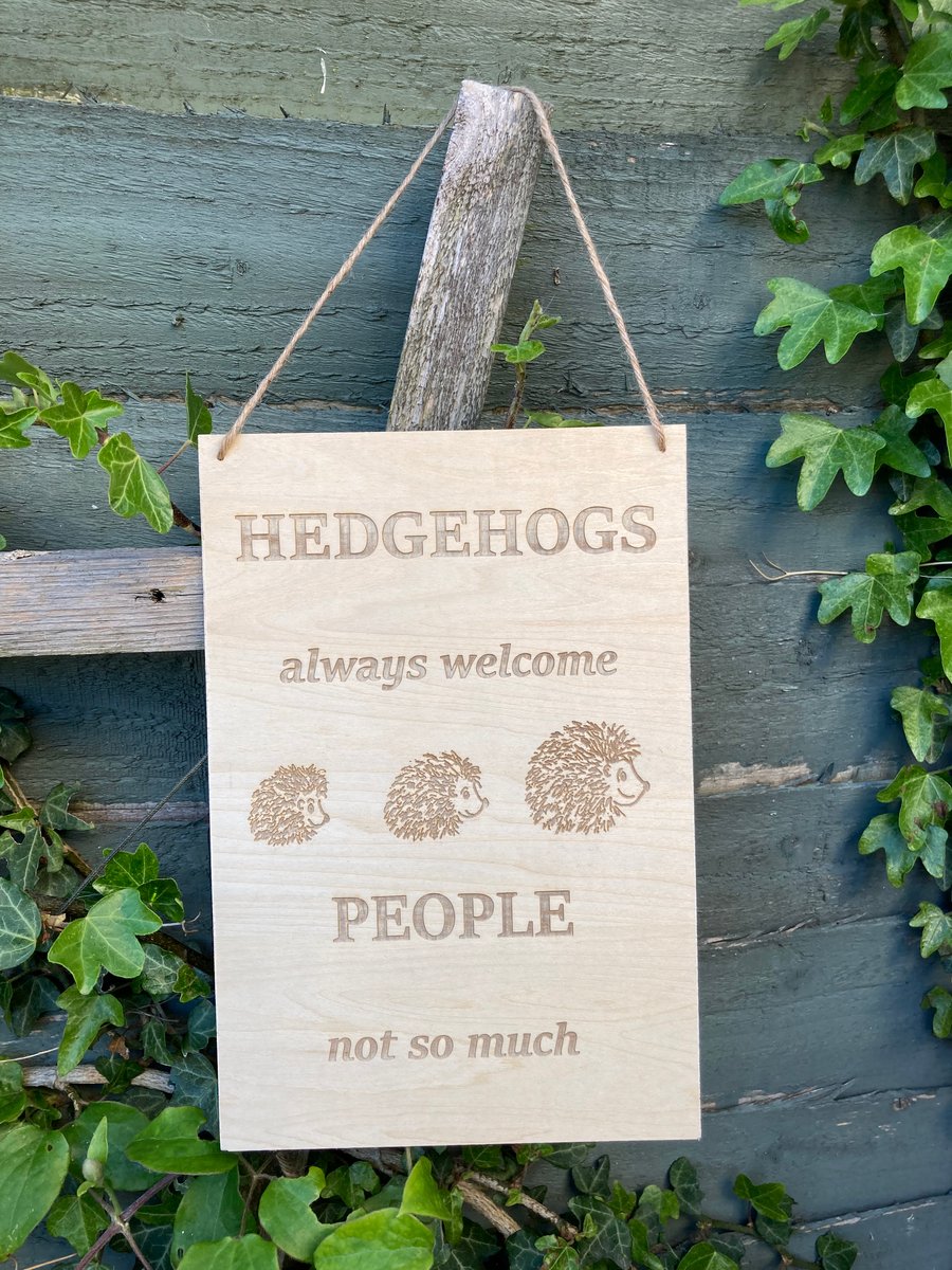 Wooden hedgehog sign. Free shipping 
