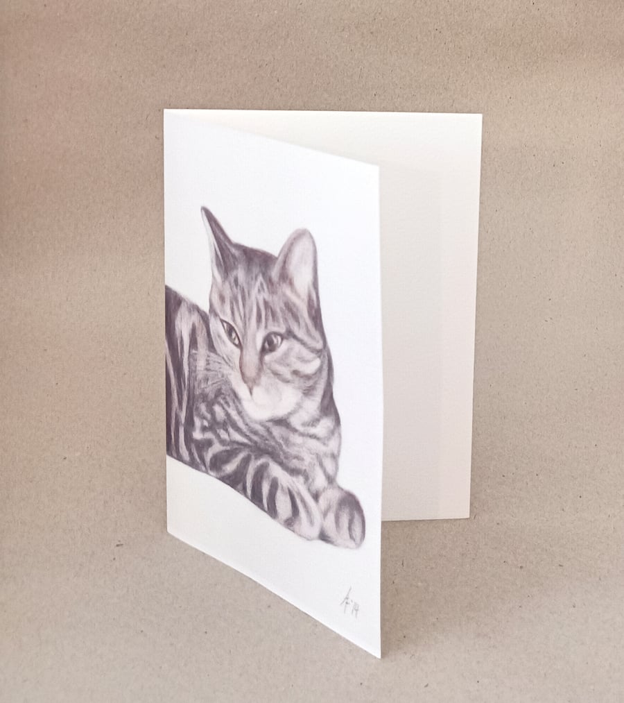 Tabby cat card or print, a reproduction of a pencil drawing