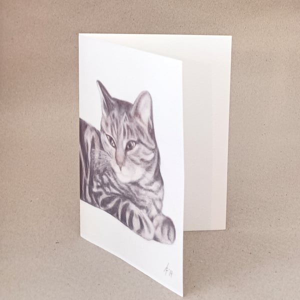 Tabby cat handmade card or print, a reproduction of a pencil drawing