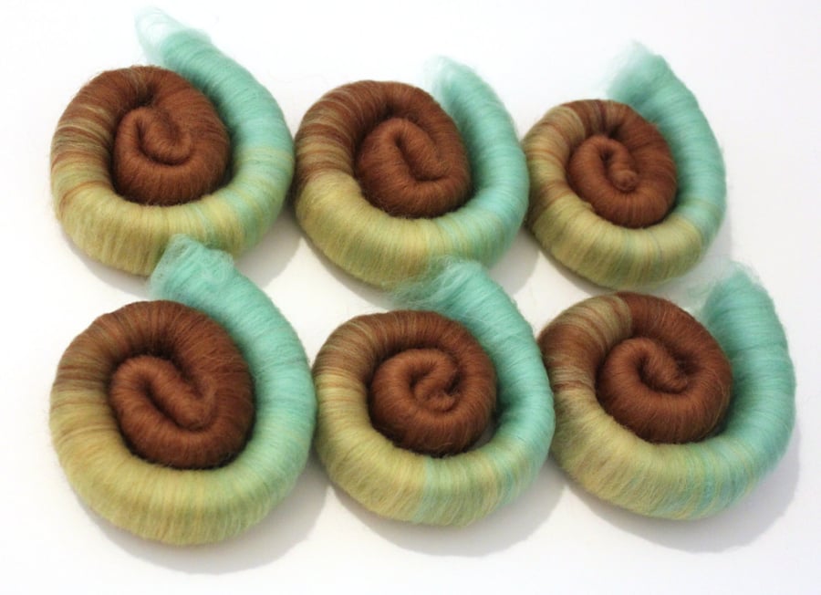 Punis Rolags Merino Wool Mint Chocolate & Banana 100g Fine Merino fibre