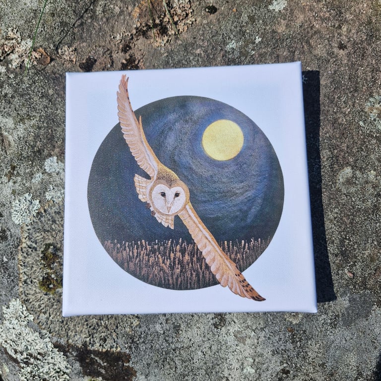 Night Flight Canvas Print