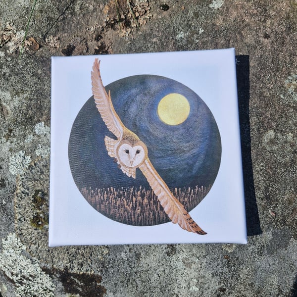 Night Flight Canvas Print