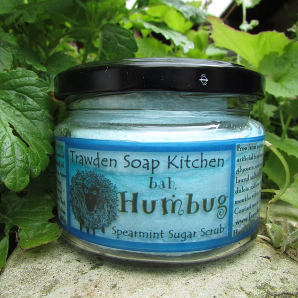 Large Bah Humbug Spearmint Sugar Scrub in 280ml glass jar