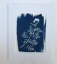 Floral art, Botanical art in Traditional Cyanotype, Wildflower gift, Wall art. - Image 5