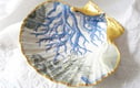 SHELL TRINKET DISHES