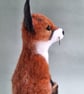 Coral - Sitting Fox on Whisky Stave - Image 5