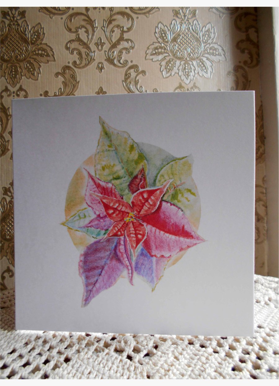 Pack of 5 Assorted Square Cards, Handdrawn Winter Flowers