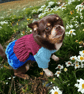 Handknitted anna from frozen  dog dress size S