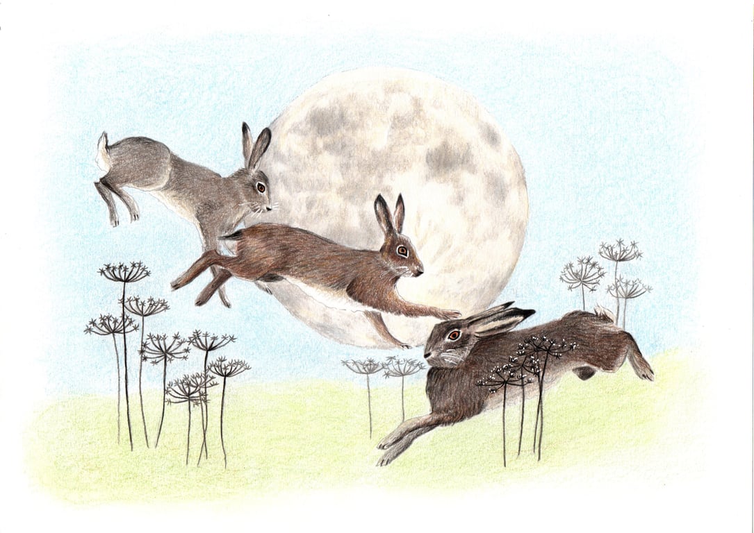 Hares dancing in front of the Full Moon A4 Giglee Print