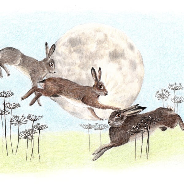 Hares dancing in front of the Full Moon A4 Giglee Print