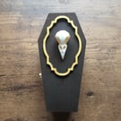 Birds Skull Handmade Wooden Coffin Shaped Jewellery or Trinket Box