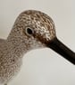 Greenshank - Image 2