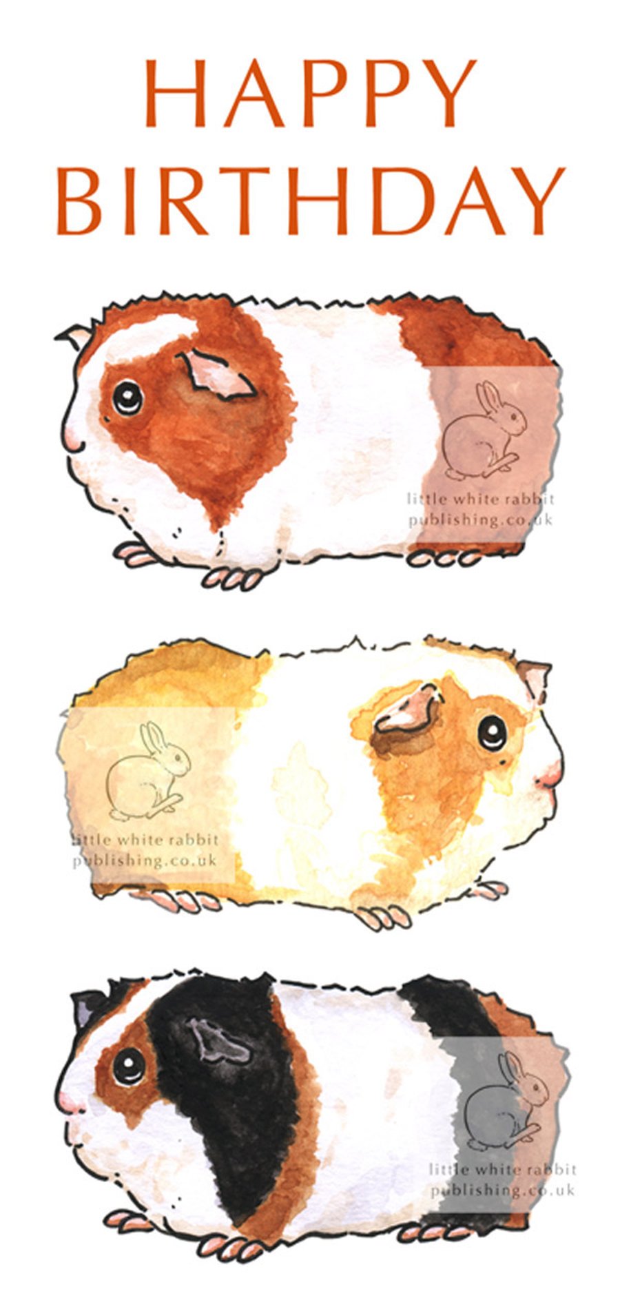 Three Guinea Pigs - Birthday Card