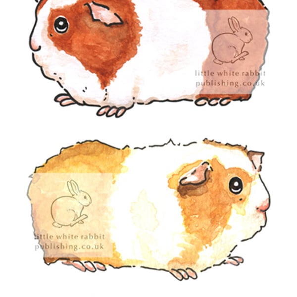 Three Guinea Pigs - Birthday Card