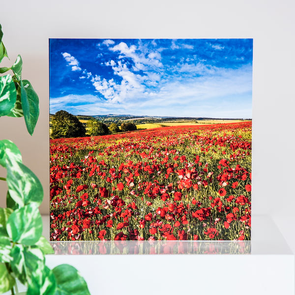 Red Corn Poppies Poppy Field  Blank Greetings Card wildflowers summer landscape 