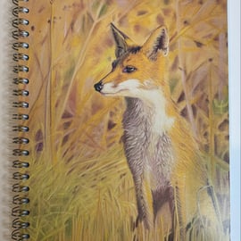 ‘A Watchful Eye’ Fox notebook 