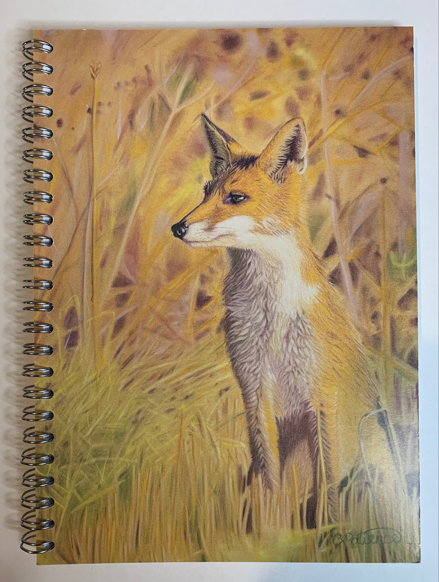 ‘A Watchful Eye’ Fox notebook 