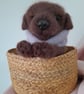New Born Chocolate Labrador Puppy, dotpebblesknit Design, Knitted Puppy - Image 10