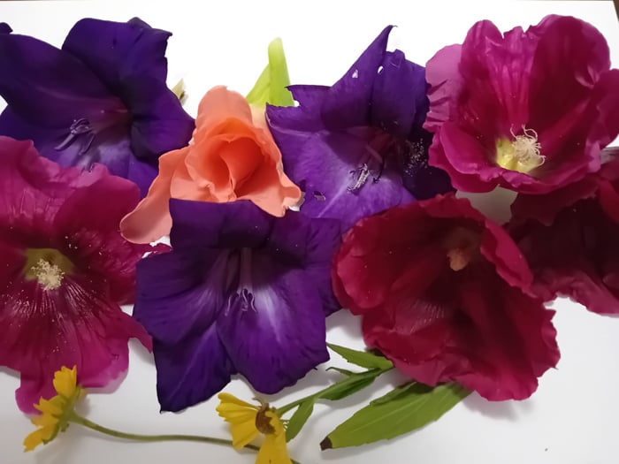 FLEURS