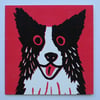 BORDER COLLIE DOG ON DARK PINK