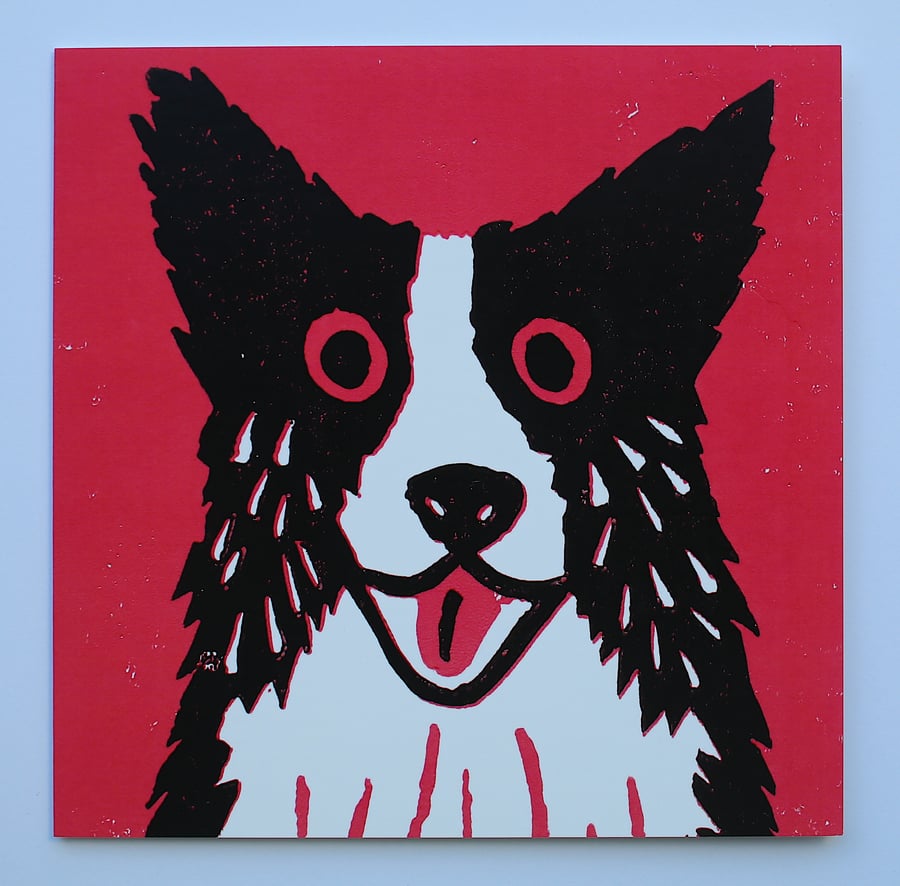 BORDER COLLIE DOG ON DARK PINK