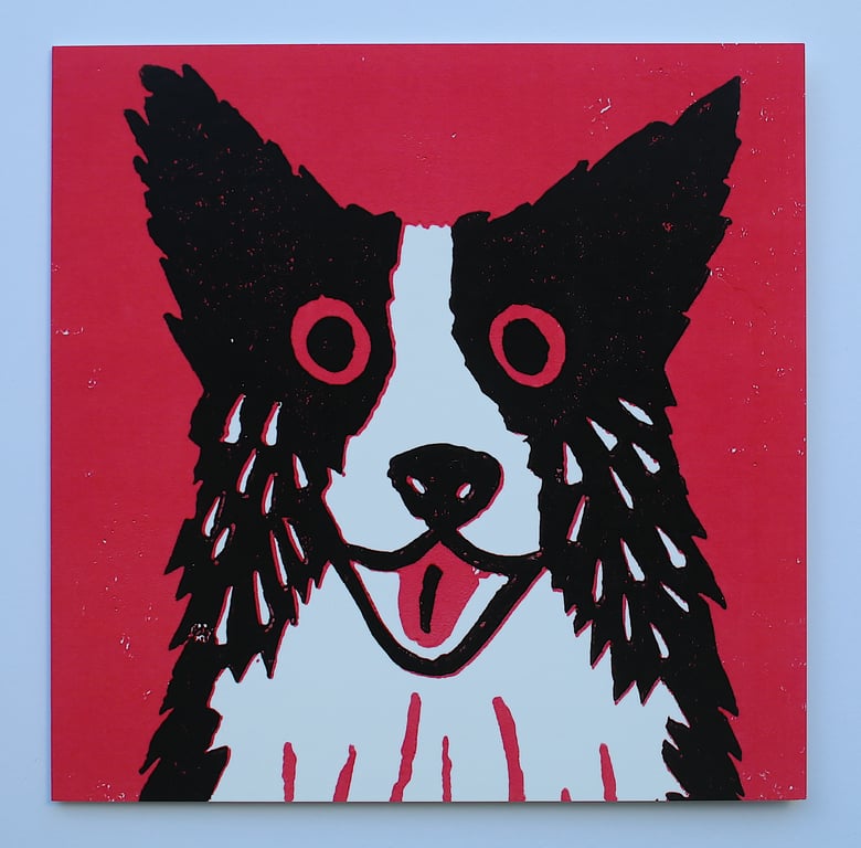 BORDER COLLIE DOG ON DARK PINK