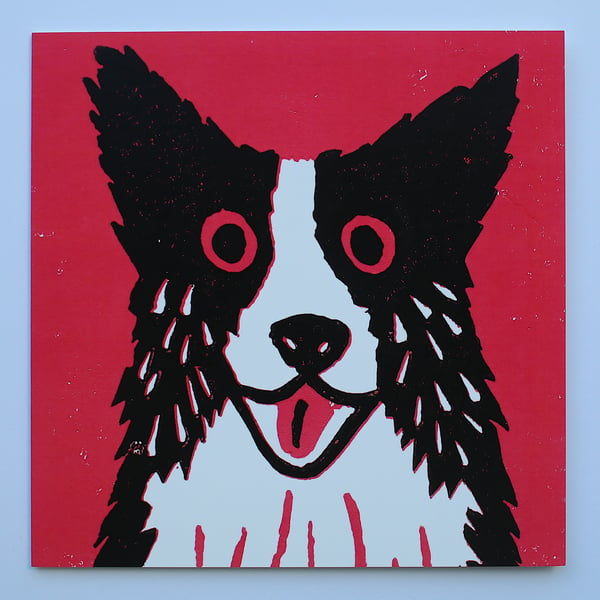 BORDER COLLIE DOG ON DARK PINK