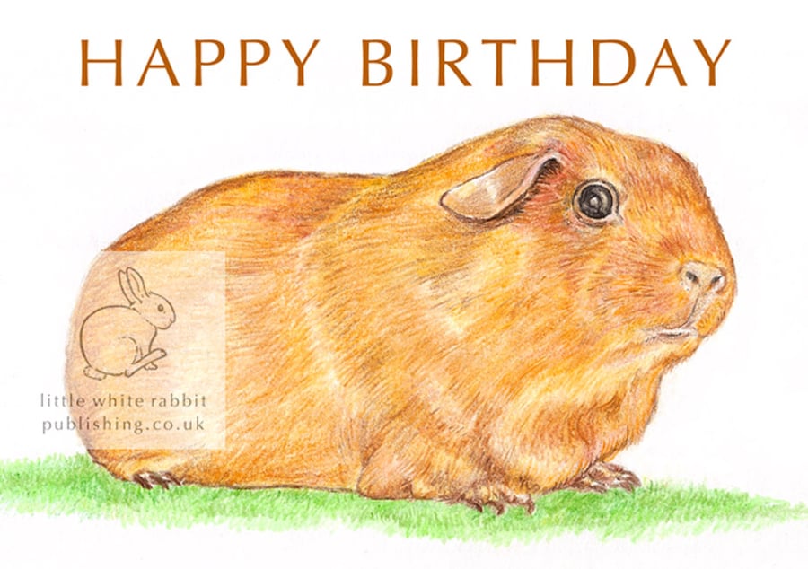 Goldie the Guinea Pig - Birthday Card