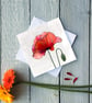 Poppy Flower, Greetings Card - Image 2