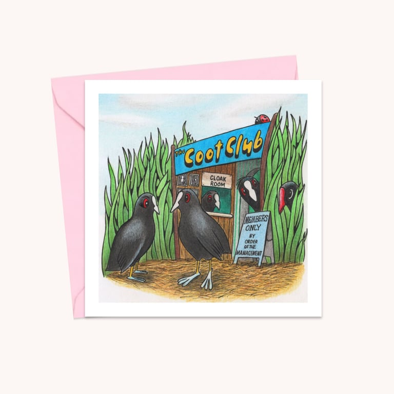 Funny Birds Greeting Card: Cute Hand Drawn Coots and Moorhen Illustration (222)