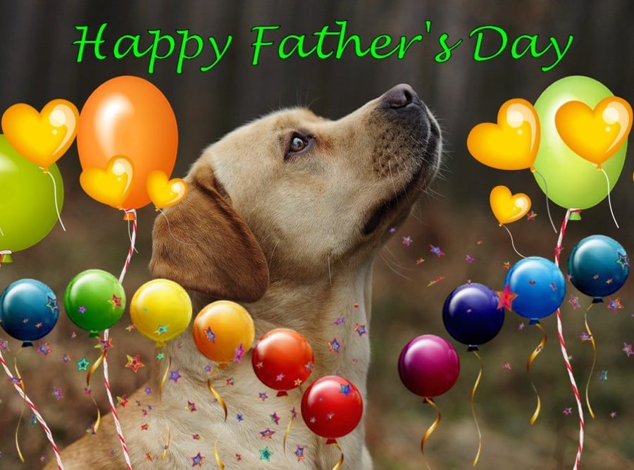 Father's Day Card Golden Retriever Labrador