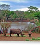 African White Rhinoceros South Africa Photograph Print - Image 2