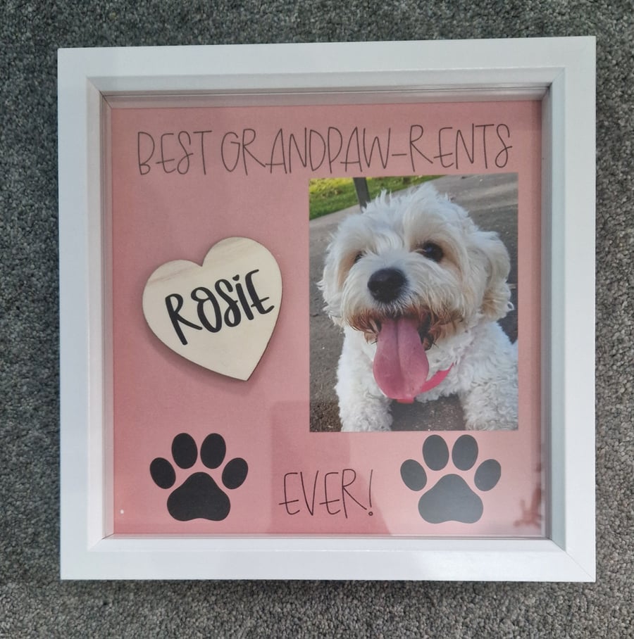 The Best Paw-rents or Grand-pawents box frame- best pet grandparents or parents