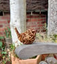 Sweet Little Jenny Wren Greetings card  - Image 1