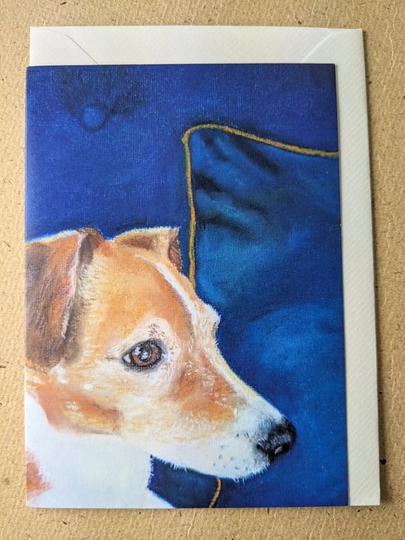 Jenny the Jack Russell Terrier