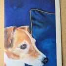 Jenny the Jack Russell Terrier