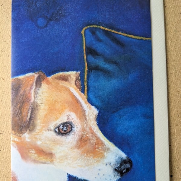 Jenny the Jack Russell Terrier