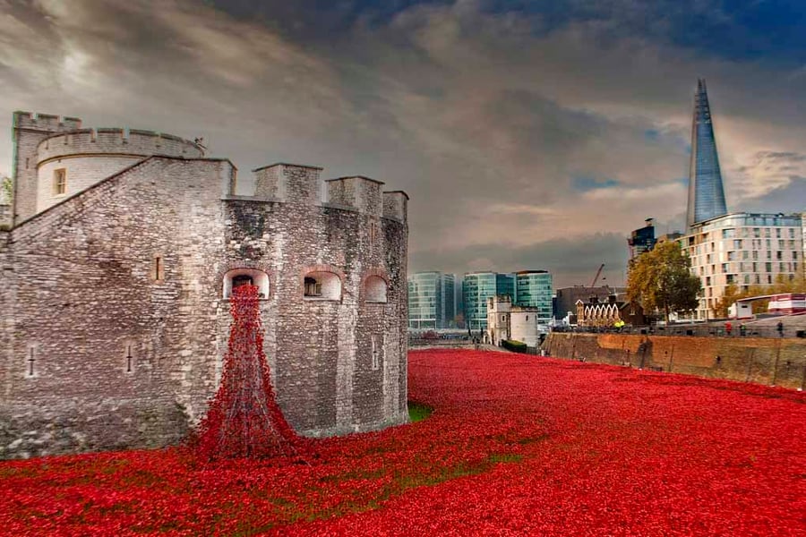 Tower of London Red Poppies England UK 18"x12" Print