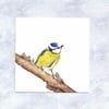 Blue Tit Greetings Card