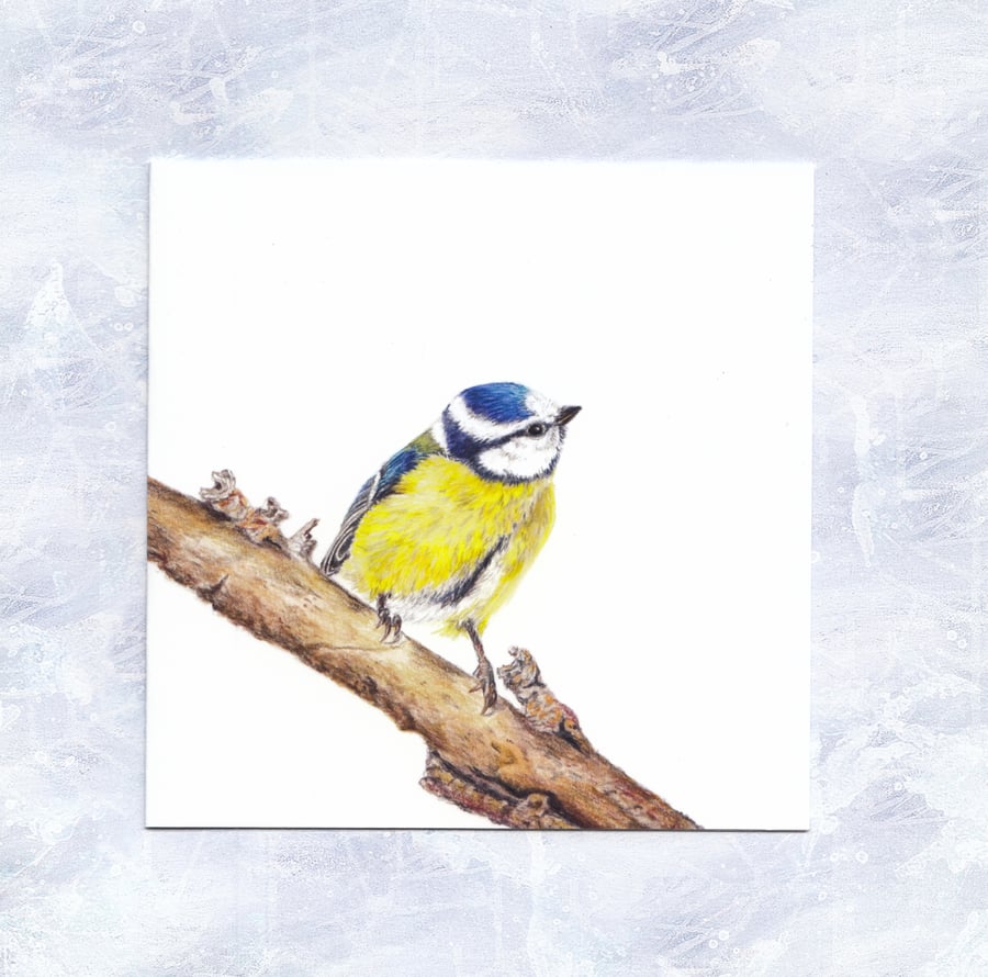 Blue Tit Greetings Card
