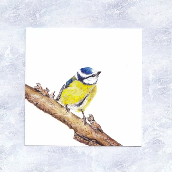 Blue Tit Greetings Card