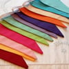Rainbow Bunting - 12 flags 8.5 ft long